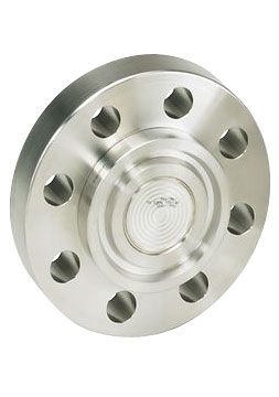 Rosemount 1199 RCW Flush Flanged Seal