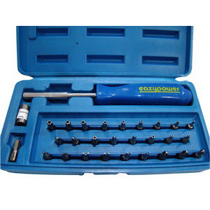 Eazypower 79552 Bit Set Security Insert 30 pc. w/Plastic Case