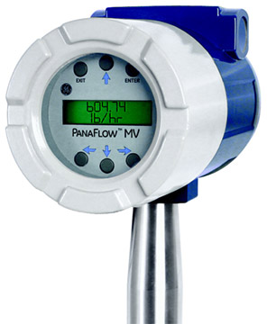 Panametrics PanaFlow MV82 Flow Meter