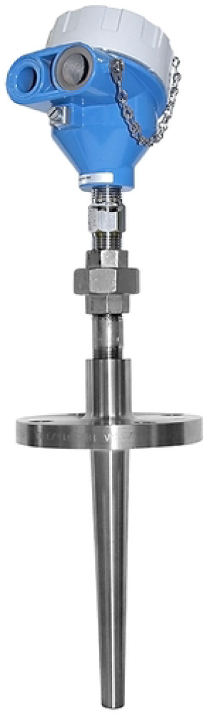 E+H T14 PT100 Thermometer