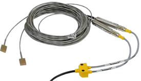 Panametrics CRTD Dual RTDs with Transmitter